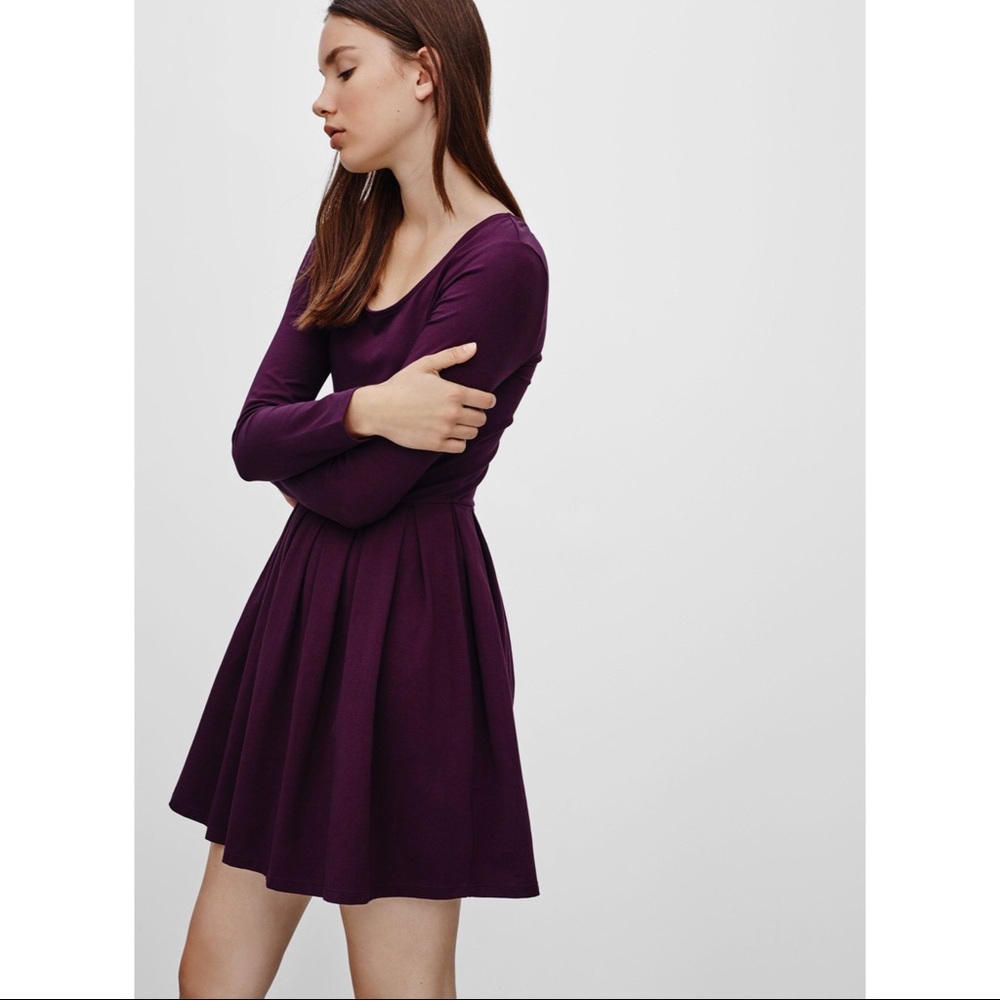 Aritzia Talula Dusty Pink Long sleeve Scoop Neck Fit and Flare Lambeth Dress